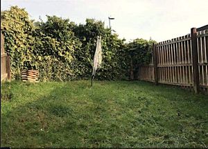 Photo 2- click for photo gallery